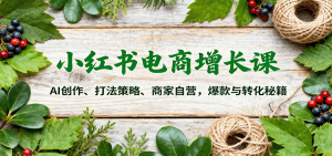 小红书电商增长课：AI创作、打法策略、商家自营，爆款与转化秘籍-网创资源站