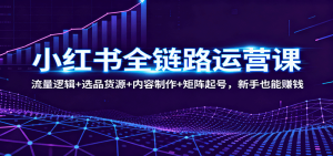 小红书全链路运营课:流量逻辑+选品货源+内容制作+矩阵起号,新手也能赚钱-网创资源站