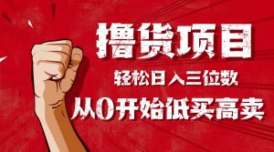 手把手教你撸货，从0开始低买高卖，小白轻松实现日入三位数!!!-网创资源站