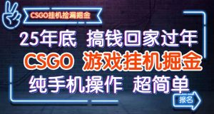 25年底搞钱回家过年，CSGO游戏挂机掘金，纯手机操作超简单-网创资源站