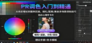 PR调色入门到精通:从色彩理论到案例实操,婚礼/医美/美食多场景调色技巧-网创资源站
