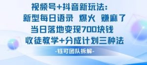 视频号加抖音新玩法：爆火新型每日语录，收徒教学加分成计划，三种变现玩法，当日变现7张-网创资源站