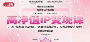 高净值IP变现课：小红书差异化定位，文案点赞成金， AI高效做短视频-网创资源站