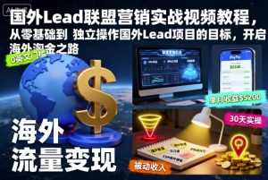 国外Lead联盟营销实战视频教程，从零基础到独立操作国外Lead项目的目标，开启海外淘金之路-网创资源站