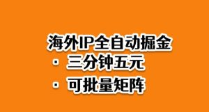 海外ip全自动掘金，2025必做蓝海项目，3分钟落地，矩阵直接开干【揭秘】-网创资源站