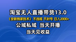 淘宝无人直播13.0，公域私域技术，不封号，不违规 布局下半年旺季赛道，日入2000+-网创资源站