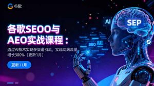 谷歌SEO与AEO实战课程:通过AI技术实现多渠道引流,实现网站流量增长300%-网创资源站
