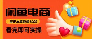 闲鱼高利润电商，当天上架当天出单，一单利润300-网创资源站