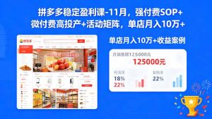 拼多多稳定盈利课-11月,强付费SOP+微付费高投产+活动矩阵,单店月入10万+-网创资源站