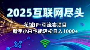 2025网创尽头王炸项目！私域IP+精准引流，新手小白在家躺賺日入1k，零经验也能上手【揭秘】-网创资源站