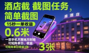 酒店截图任务，简单截图，15秒一单收益0.6米，一部手机不限地方时间，可矩阵单日收益3张【揭秘】-网创资源站
