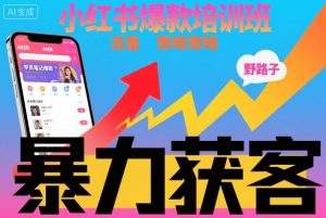 小红书爆款培训班,小红书获客野路子流量打法,暴力持续获客-网创资源站