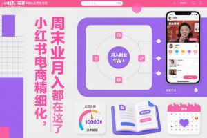 小红书电商精细化运营全流程,周末副业月入1W+,全套方法都在这了-网创资源站