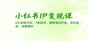 小红书IP变现课:6大变现方式,7步起号,爆款笔记打造,定位选品,流量增长-网创资源站