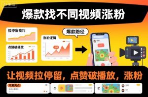 爆款找不同视频涨粉，让视频拉停留，实现点赞，破播放，涨粉-网创资源站