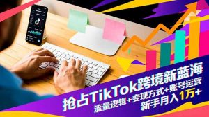 抢占TikTok跨境新蓝海：流量逻辑+变现方式+账号运营，新手月入1万+-网创资源站