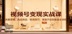 视频号变现实战课：流量逻辑、选品排品、投流技巧，覆盖开店到复盘全流程-网创资源站