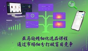亚马逊精细化选品课程,通过市场细分打破盲目竞争-网创资源站