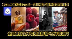 coze智能体sora2一键生成电商带货高端视频工作流保姆级拆解教程，无需剪辑，无需拍摄-网创资源站