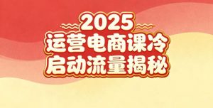 2025小红书运营电商课:新手实战+冷启动+流量揭秘-网创资源站