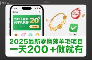 2025最新零撸薅羊毛项目，纯手机操作，20秒一单，无任何门槛，一天200+做就有【揭秘】-网创资源站
