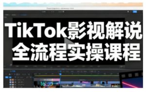 TikTok影视解说全流程实操,手把手教你打造TK爆款解说视频-网创资源站