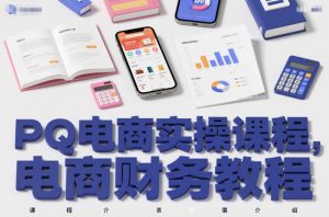 PQ电商实操课程，电商财务教程-网创资源站