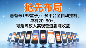 抢先布局慧有米(99盒子)：多平台全自动挂机，单机20-30+，可矩阵实现管道躺赚-网创资源站