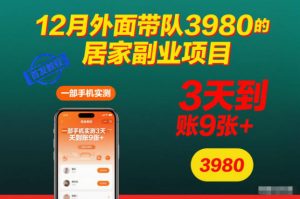 12月外面带队3980的居家副业项目，一部手机实测3天到账9张+，首发教程【揭秘】-网创资源站