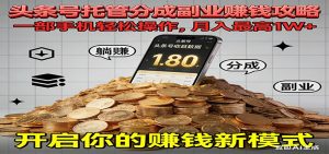 全程托管今日头条，一部手机就可以开干，最高躺赚1W+-网创资源站