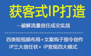 获客型IP打造，破解流量信任成，四类短视频布局+文案钩子指令创作IP三大信任状+IP变现四大模式-网创资源站
