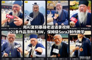 用AI复刻暴躁老道语录视频,21条作品涨粉8.8W,保姆级Sora2制作教学-网创资源站