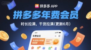 拼多多年费会员，实经验分享操，时长拉满，干货拉满(更新12月)-网创资源站