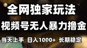 年底最新独家视频号无人直播撸礼物，小白也能轻松日入1k+，长期稳定，可批量复制【揭秘】-网创资源站