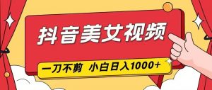 抖音美女视频，一刀不剪，两分钟一条视频，小白轻松上手，日入1000-网创资源站