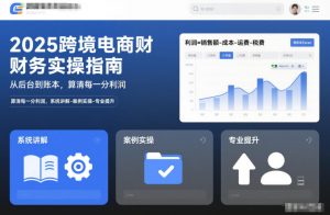 2025跨境电商财务实操指南,从后台到账本,算清每一分利润,系统讲解-案例实操-专业提升-网创资源站