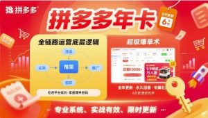 拼多多年卡，拼多多全链路运营底层逻辑，超级爆单术【更新12月】-网创资源站
