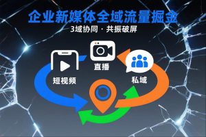 短视频全域商业模式，企业新媒体全域流量掘金，3域协同，共振破屏，短视频-直播-私域-地域-网创资源站