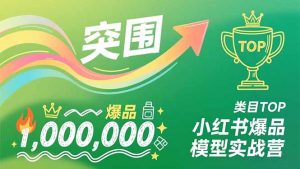 小红书爆品模型实战营,从新品突围到成为类目TOP,可复制路径,打造多个营收百万级爆品-网创资源站