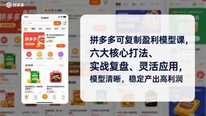 拼多多可复制盈利模型课,六大核心打法、实战复盘、灵活应用,模型清晰,稳定产出高利润-网创资源站