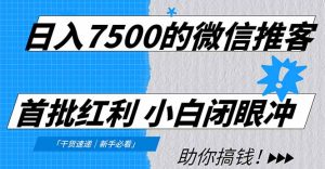 日入7500的微信推客,首批红利,自用省钱、分享赚钱,0门槛小白闭眼冲!-网创资源站