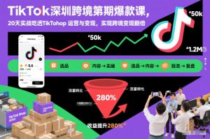 TikTok深圳跨境第2期爆款课，20天实战吃透TikTok Shop运营与变现，实现跨境变现翻倍-网创资源站