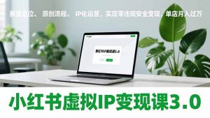 小红书虚拟IP变现课3.0，赛道定位、原创流程、IP化运营，实现零违规安全变现，单店月入过万-网创资源站