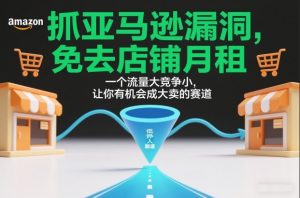 抓亚马逊漏洞，免去店铺月租，一个流量大竞争小，让你有机会成大卖的赛道-网创资源站