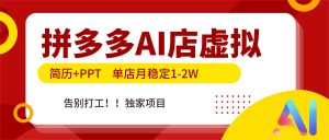 拼多多AI店，简历+PPT，单店月稳定1-2W，告别打工，独家项目！-网创资源站