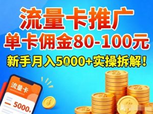 流量卡推广，单卡佣金80-100，新手月入5k+实操拆解！-网创资源站