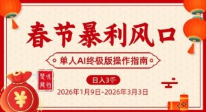 春节暴利风口项目，单人AI落地翻身终极版实操-网创资源站