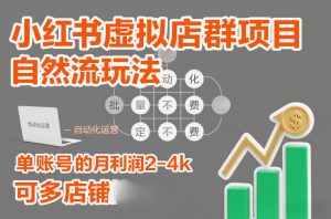 小红书虚拟店群项目,自然流玩法,批量自动化,稳定不费号,单账号的月利润2-4k,可多店矩阵-网创资源站