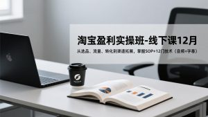 淘宝盈利实操班-线下课12月，从选品、流量、转化到渠道拓展，掌握SOP+12门技术(音频+字幕-网创资源站