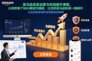 亚马逊卖家运营与利润提升课程,让你的每个SKU都成为爆款,让你的亚马逊利润一路飙升(更新12月)-网创资源站